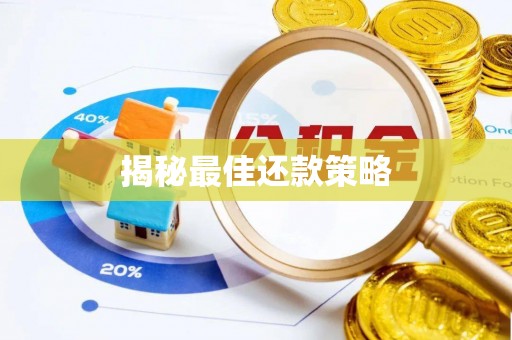 坪山新区揭秘最佳还款策略