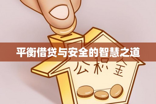 坪山新区平衡借贷与安全的智慧之道