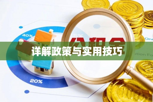 坪山新区详解政策与实用技巧