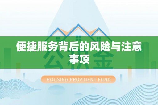 坪山新区便捷服务背后的风险与注意事项