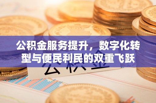 坪山新区公积金服务提升，数字化转型与便民利民的双重飞跃