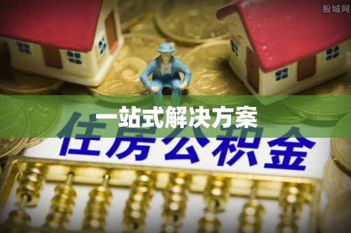 坪山新区一站式解决方案