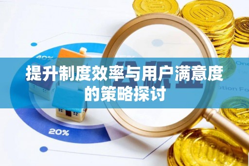 坪山新区提升制度效率与用户满意度的策略探讨